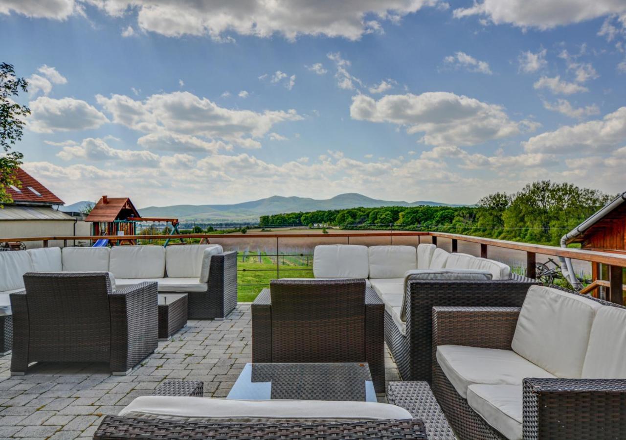 Penzion Tokaj Macik Winery B&B Mala Trna Exterior foto
