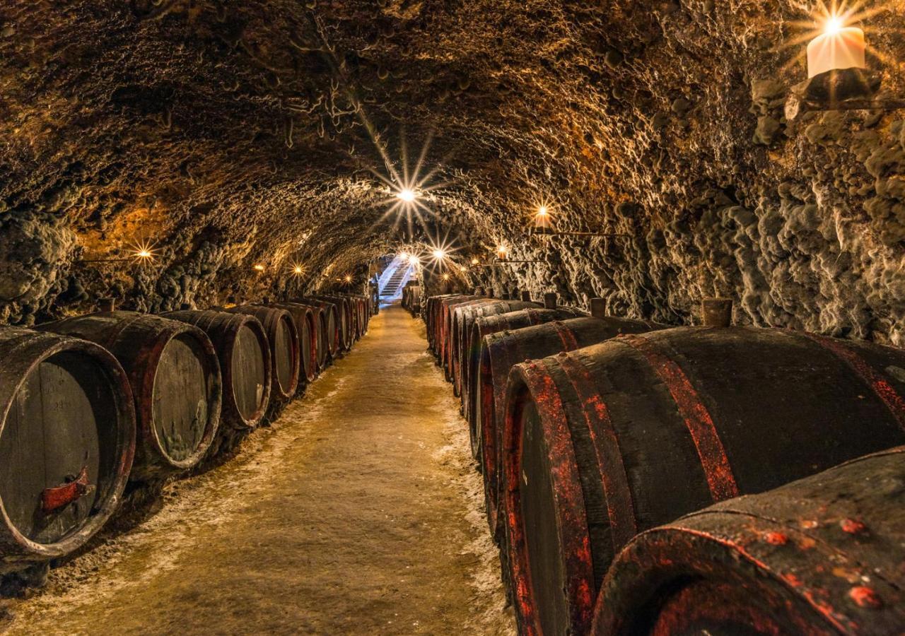 Penzion Tokaj Macik Winery B&B Mala Trna Exterior foto