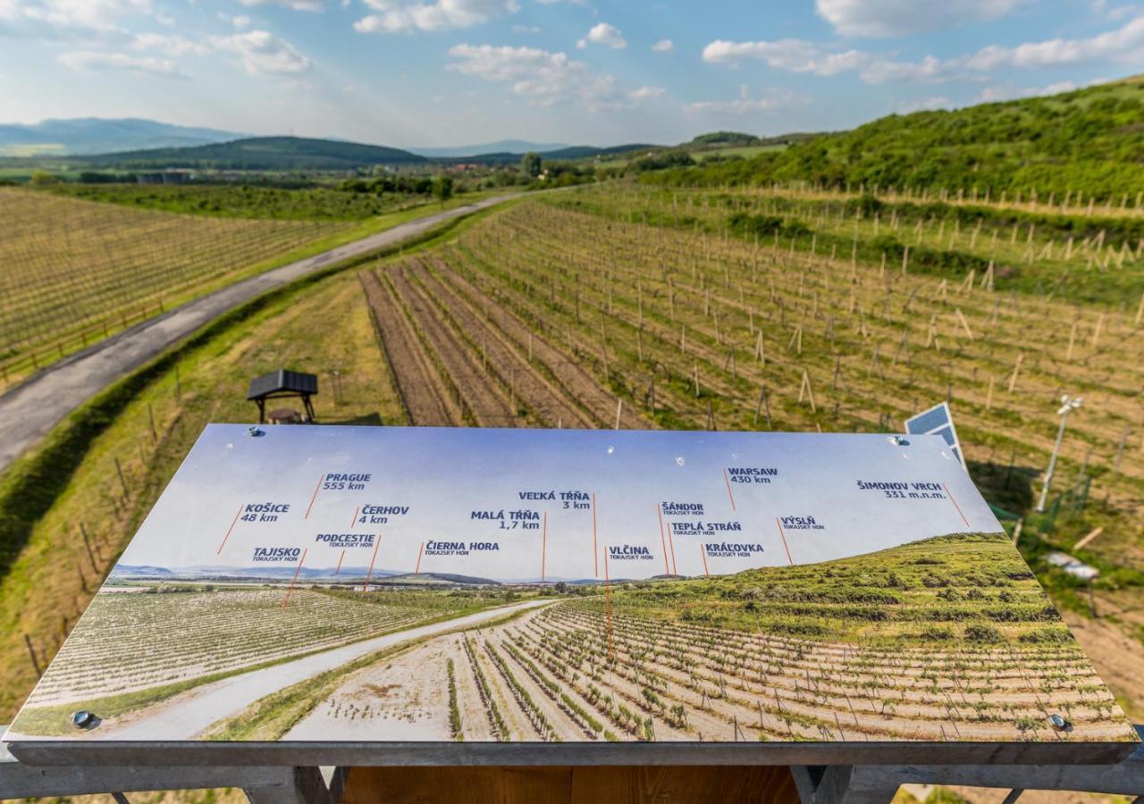 Penzion Tokaj Macik Winery B&B Mala Trna Exterior foto